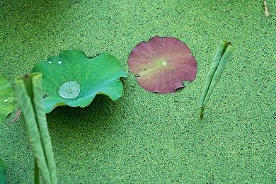 《完美黑暗》首批截图公开 真正的秘密特工幻想